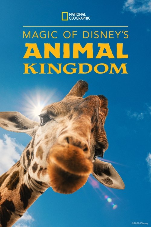 Magic of Disneys Animal Kingdom